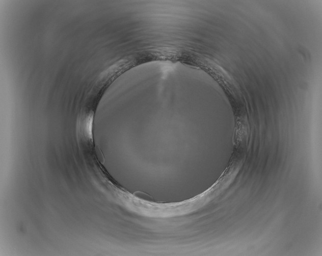 X0000112820047200909041523