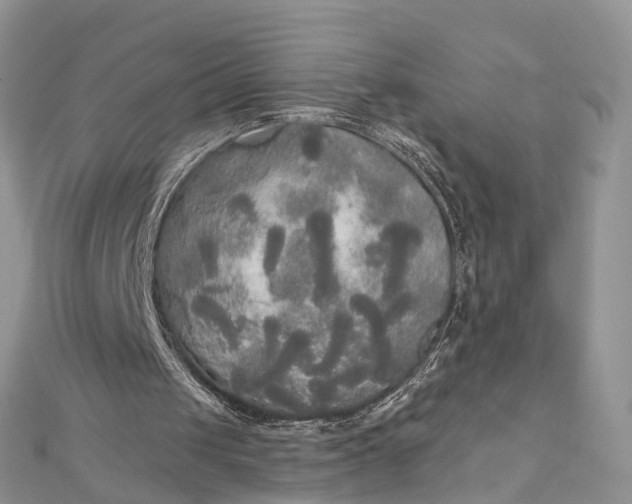 X0000112820049200909041523