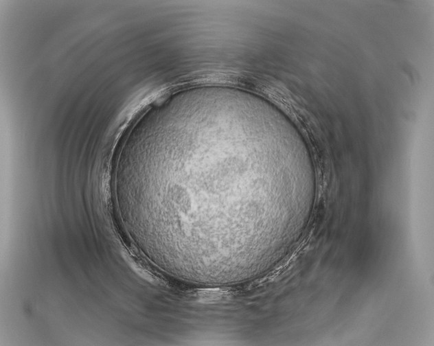 X0000112820050200909041523