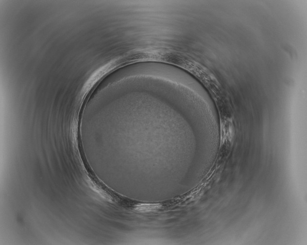 X0000112820051200909041523