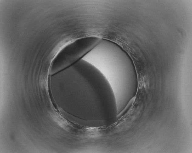 X0000112820052200909041523