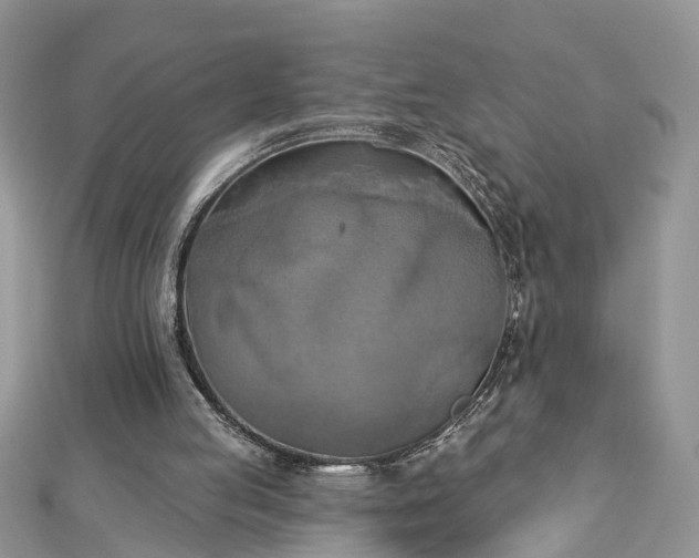 X0000112820053200909041523