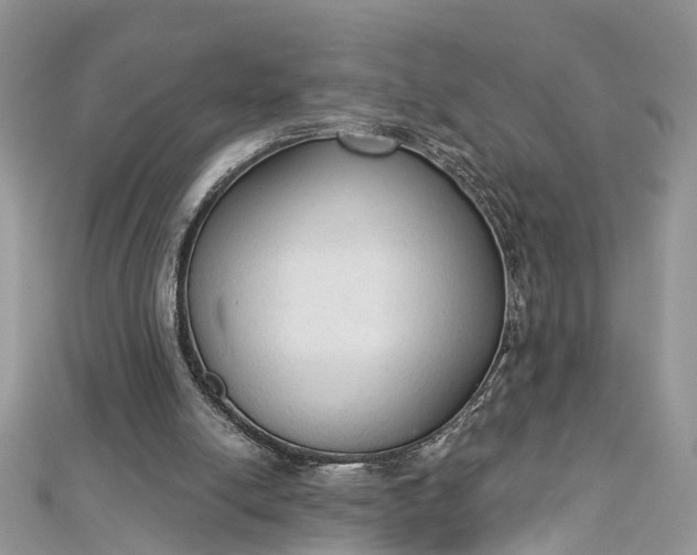 X0000112820054200909041523