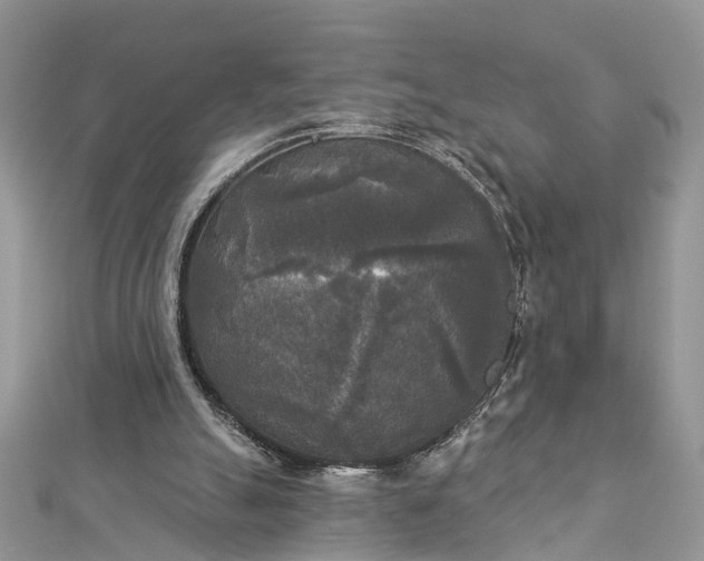 X0000112820055200909041523