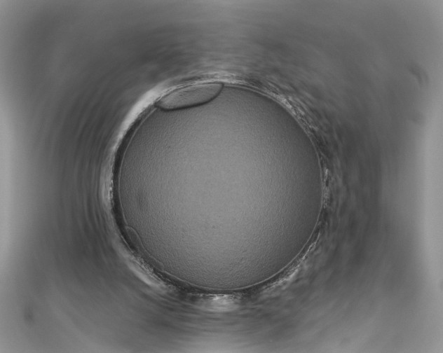 X0000112820056200909041523