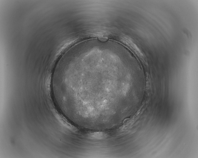 X0000112820058200909041523