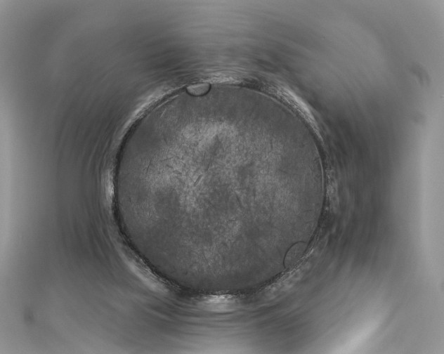 X0000112820059200909041523