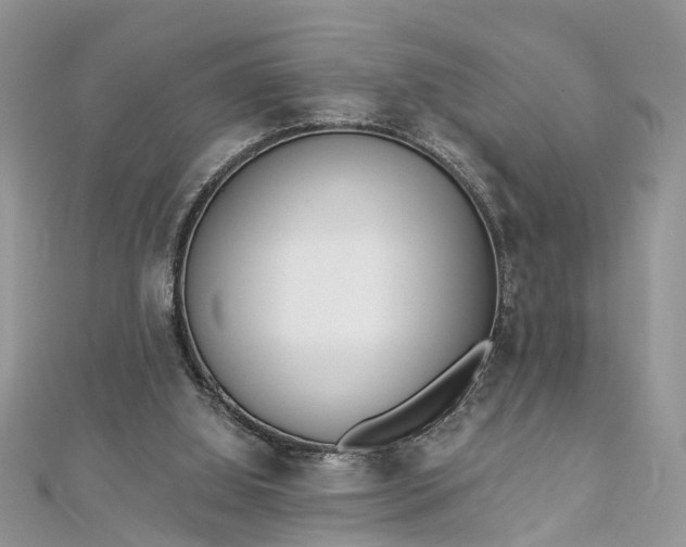 X0000112820060200909041523