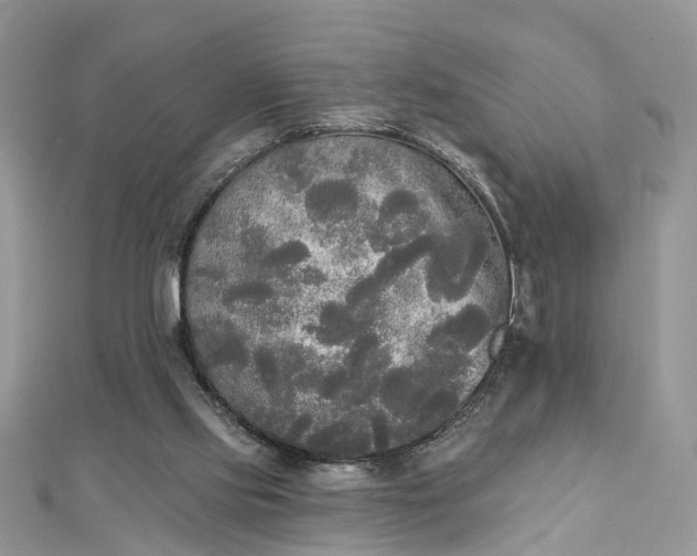 X0000112820061200909041523