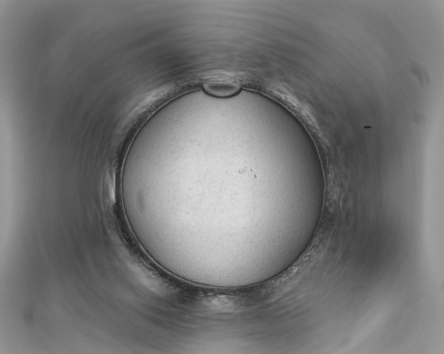 X0000112820062200909041523