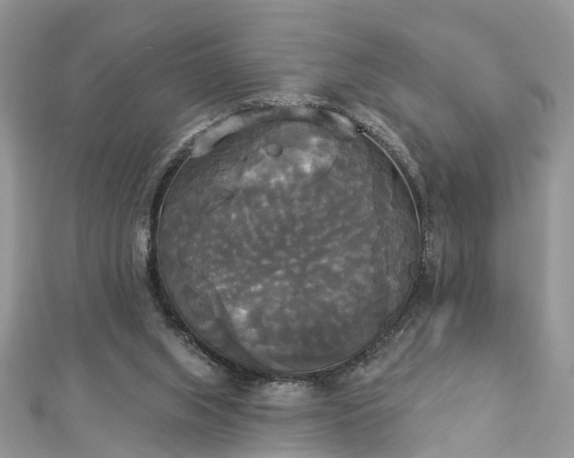 X0000112820063200909041523