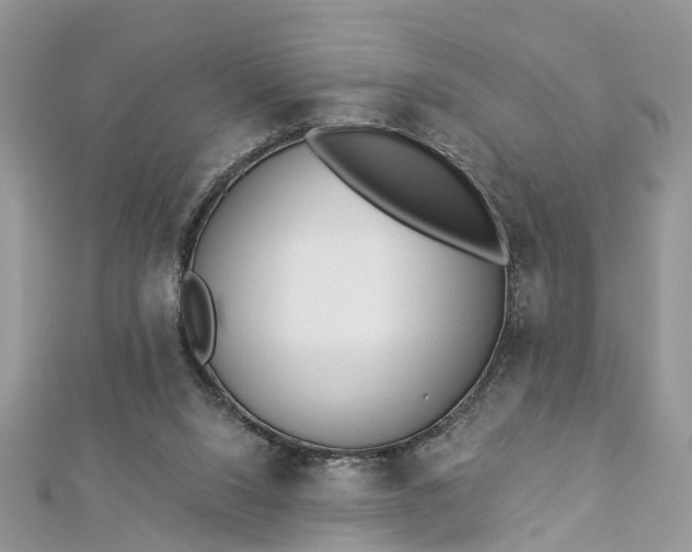 X0000112820064200909041523