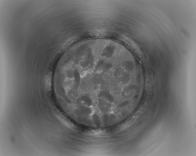 X0000112820065200909041523