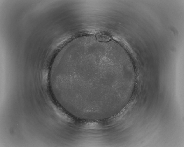 X0000112820066200909041523