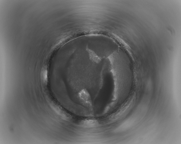 X0000112820067200909041523