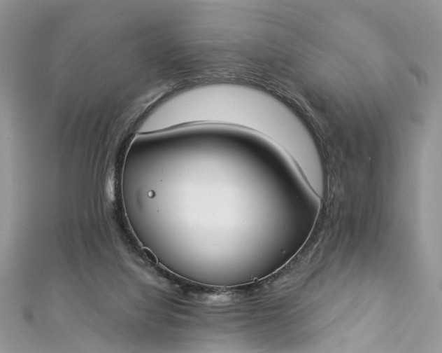 X0000112820068200909041523