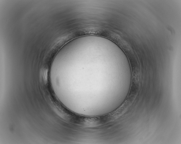 X0000112820070200909041523