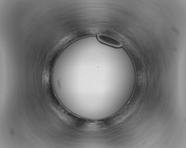 X0000112820072200909041523