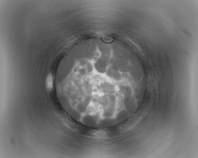 X0000112820075200909041523