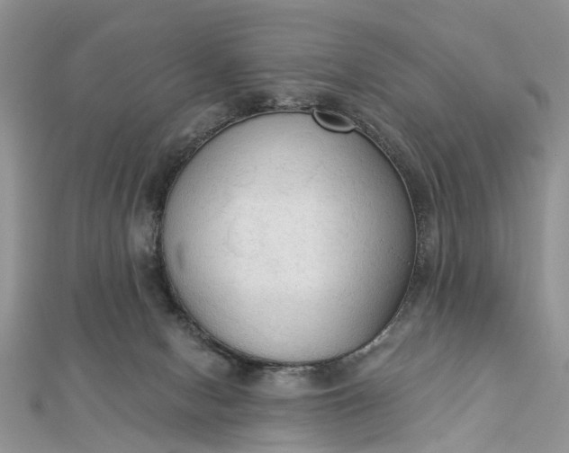 X0000112820078200909041523