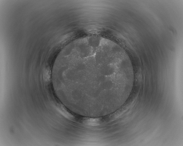 X0000112820081200909041523