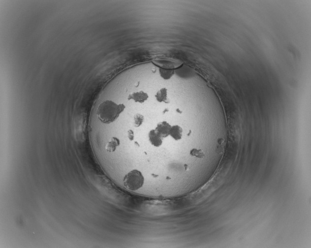 X0000112820082200909041523