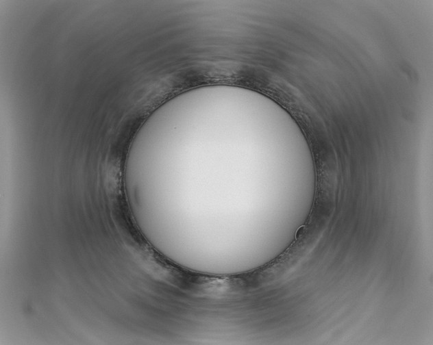 X0000112820083200909041523