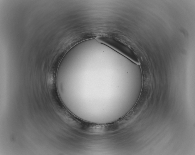 X0000112820084200909041523