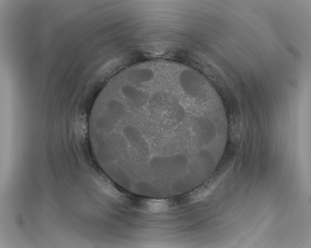 X0000112820085200909041523