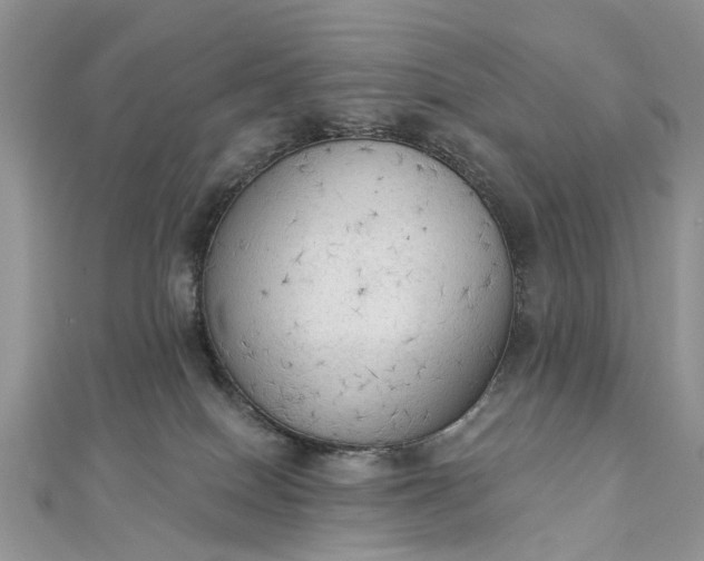 X0000112820086200909041523