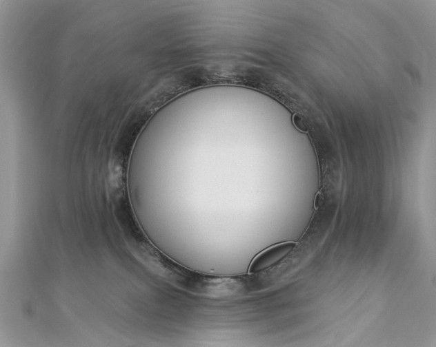 X0000112820087200909041523