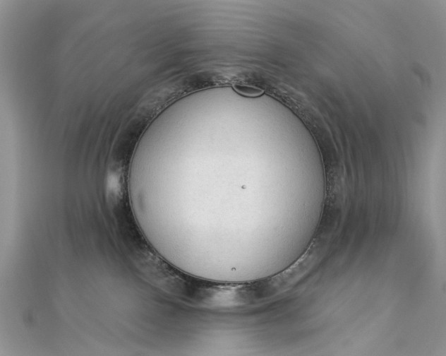 X0000112820090200909041523