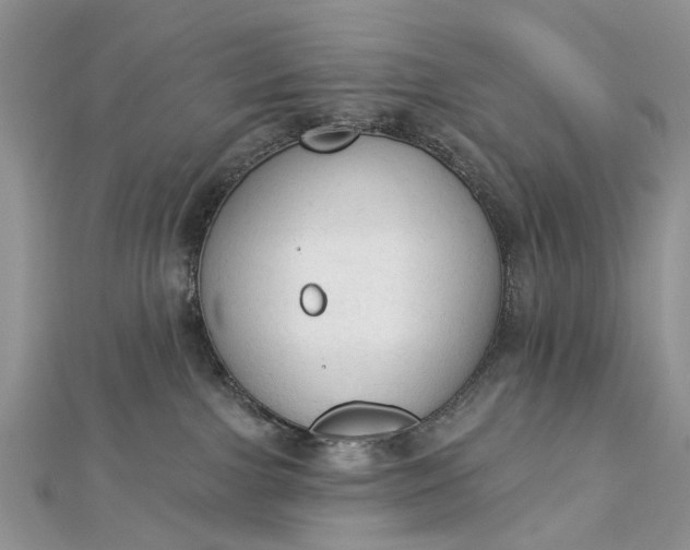 X0000112820091200909041523