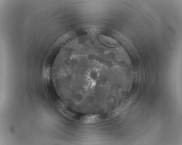 X0000112820093200909041523