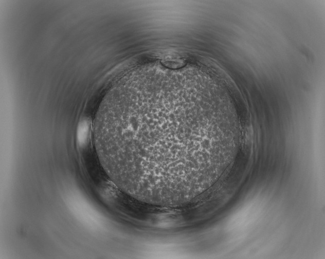 X0000112820095200909041523