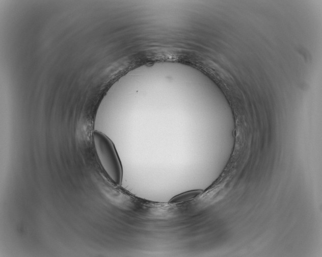 X0000112820096200909041523