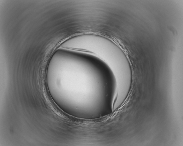 X0000112820097200909041523