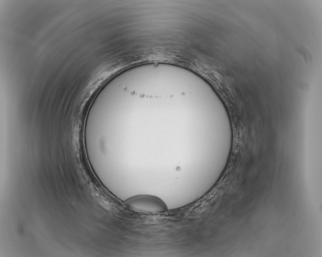 X0000112820098200909041523