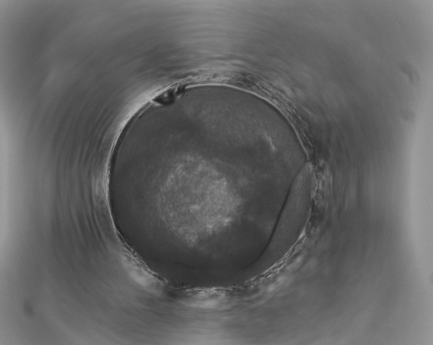 X0000112820100200909041523