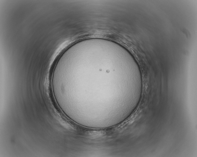 X0000112820102200909041523