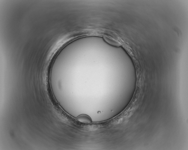 X0000112820103200909041523