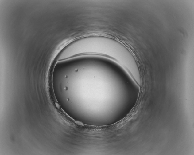 X0000112820104200909041523