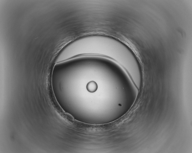 X0000112820105200909041523