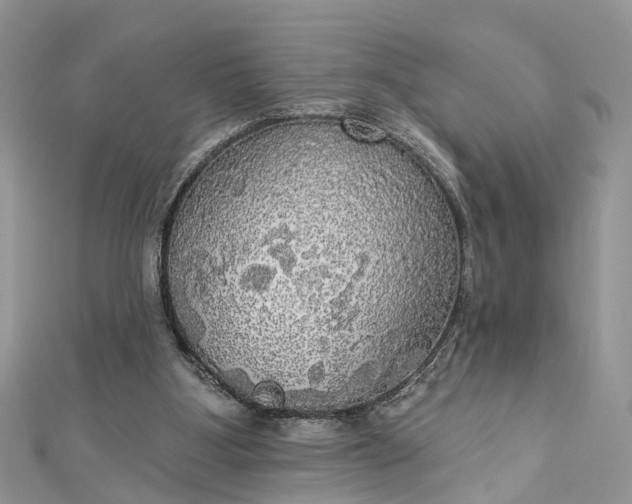 X0000112820107200909041523