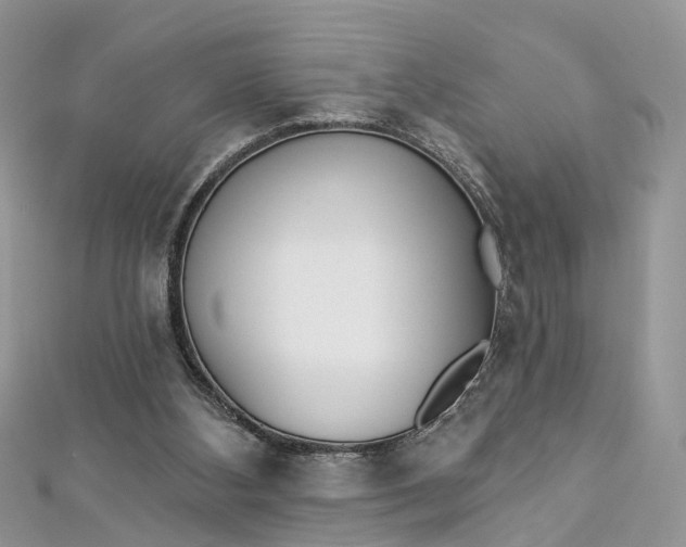 X0000112820108200909041523