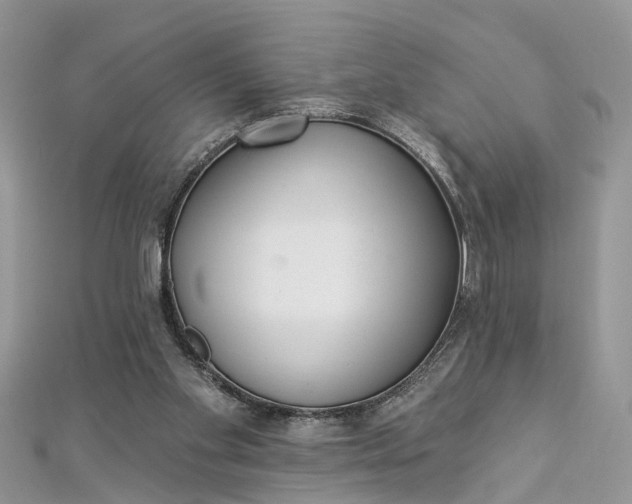 X0000112820109200909041523