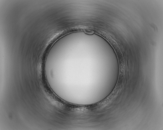 X0000112820112200909041523