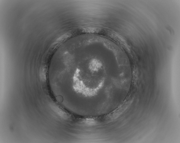 X0000112820114200909041522