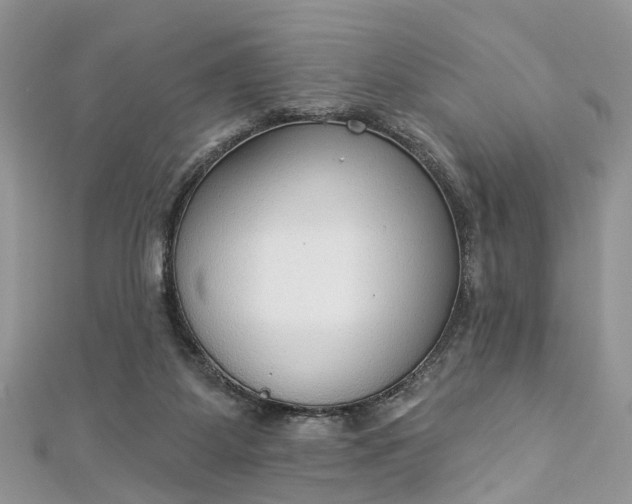 X0000112820115200909041522