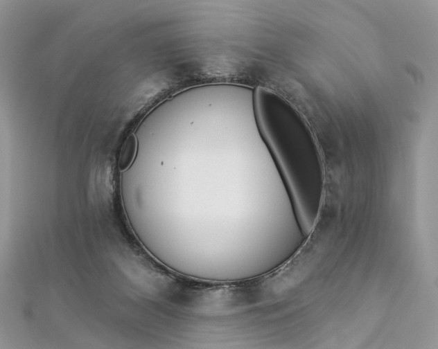 X0000112820116200909041522